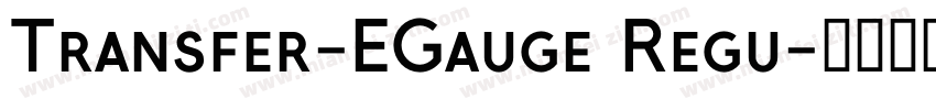 Transfer-EGauge Regu字体转换